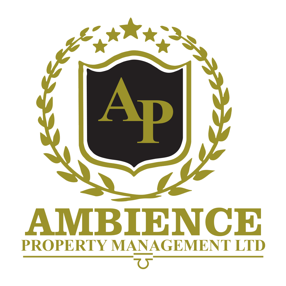 Ambience Logo